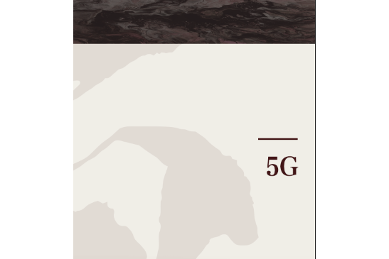 5G(2021年黨建讀物出版社出版的圖書) 5G(2021年黨建讀物出版社出版的圖書)