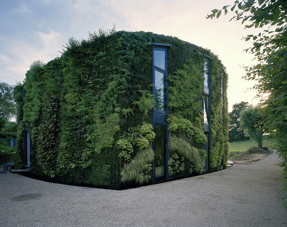 比利時布魯塞爾住宅綠牆實景圖