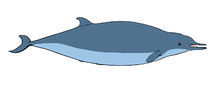 蘇氏喙鯨