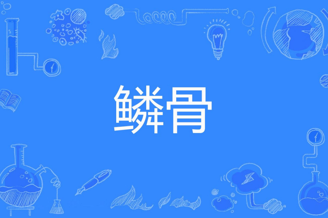 鱗骨 鱗骨
