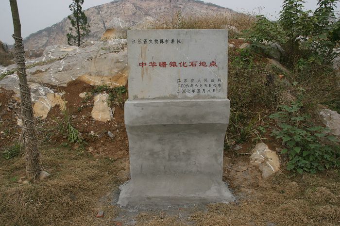 中華曙猿化石地點