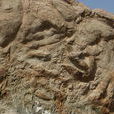 恐龍足跡化石