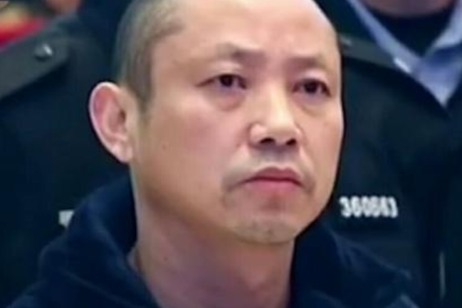 陳輝發(江西撫州宜黃黑社會性質犯罪團伙) 陳輝發(江西撫州宜黃黑社會性質犯罪團伙)