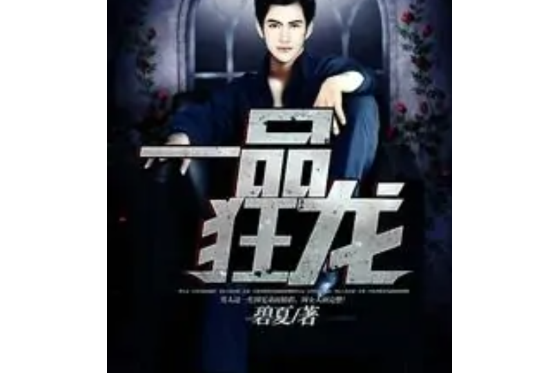 一品狂龍 一品狂龍
