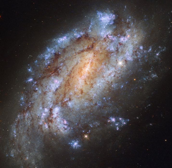 NGC 1559 NGC 1559