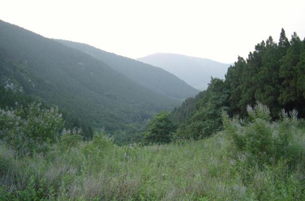 兩城魯山林場