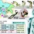 疾病分布 疾病分布