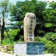 蘭石村(福建省仙遊縣書峰鄉蘭石村) 蘭石村(福建省仙遊縣書峰鄉蘭石村)