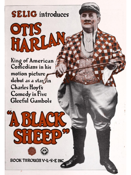 A Black Sheep A Black Sheep