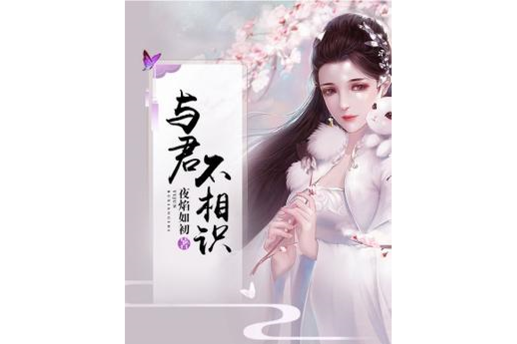 與君不相識 與君不相識