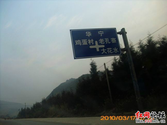 雞蛋村 雞蛋村