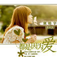 都是因為愛(小說) 都是因為愛(小說)