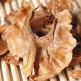 分心木 分心木