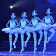 遼寧芭蕾舞團舞蹈學校