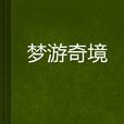 夢遊奇境 夢遊奇境
