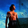 Senses(謝霆鋒專輯及同名歌曲)