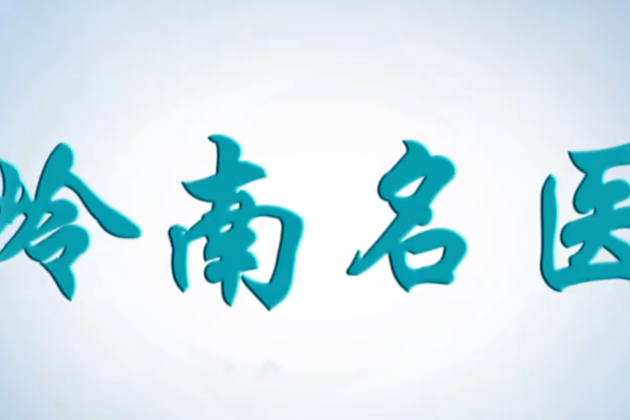 嶺南名醫 嶺南名醫