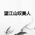 望江山嘆美人