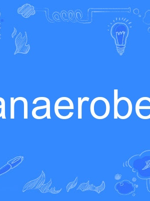 anaerobe anaerobe
