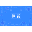 探花(詞語概念) 探花(詞語概念)