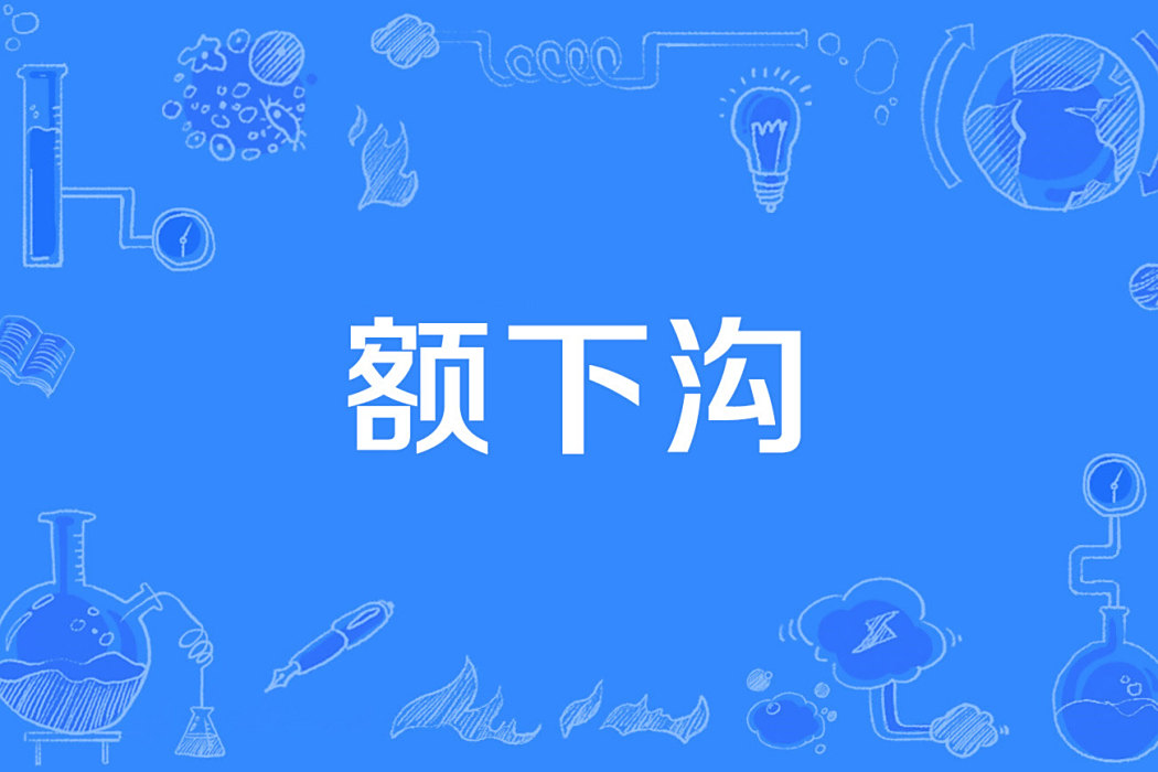 額下溝 額下溝