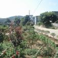 阿古渡村 阿古渡村