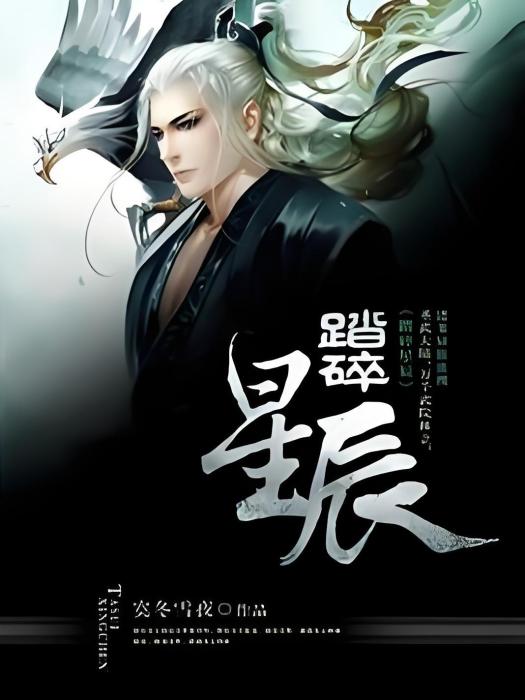 踏碎星辰 踏碎星辰