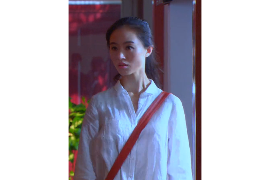 楊鏡(公安題材劇《暗戰》中的角色) 楊鏡(公安題材劇《暗戰》中的角色)