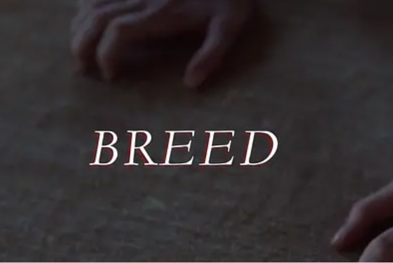 Breed(2026年凱特·多蘭執導的電影) Breed(2026年凱特·多蘭執導的電影)