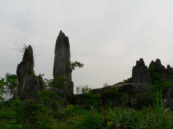 東嶺石林景區圖