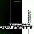 Terminal Velocity(Vosburg, Dawson著圖書) Terminal Velocity(Vosburg, Dawson著圖書)