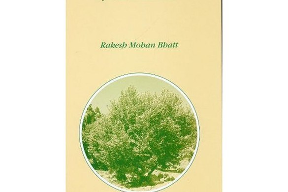 Verb Movement and the Syntax of Kashmiri Verb Movement and the Syntax of Kashmiri