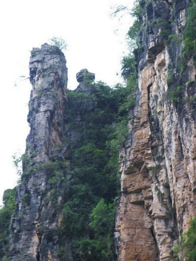 靈芝峰