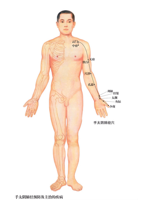 傳屍(殗殜) 傳屍(殗殜)