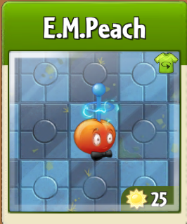 E.M.Peach常見裝扮之一