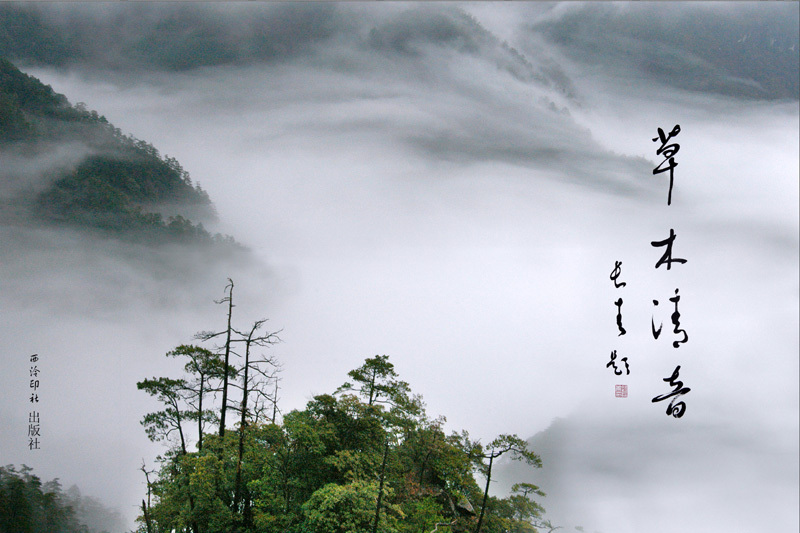 草木清音 草木清音