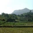 六灣大寨村 六灣大寨村