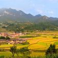 土橋村(江蘇省姜堰市張甸鎮土橋村) 土橋村(江蘇省姜堰市張甸鎮土橋村)