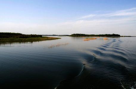 衡水湖國家級自然保護區