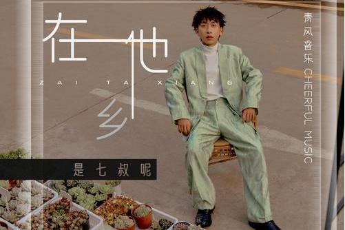 在他鄉(七叔(葉澤浩)演唱歌曲) 在他鄉(七叔(葉澤浩)演唱歌曲)