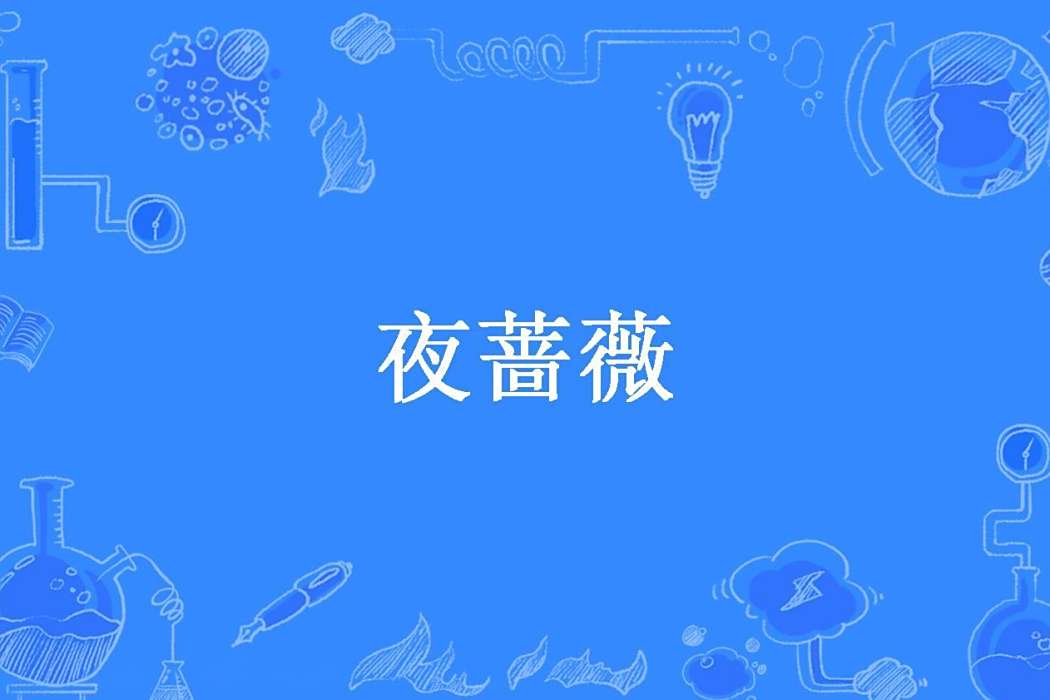 夜薔薇(寂寞的薔薇所著小說)