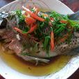 清蒸羅非魚 清蒸羅非魚