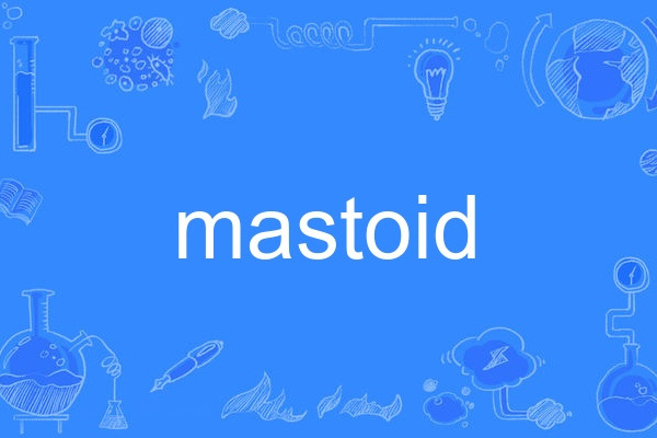 mastoid mastoid