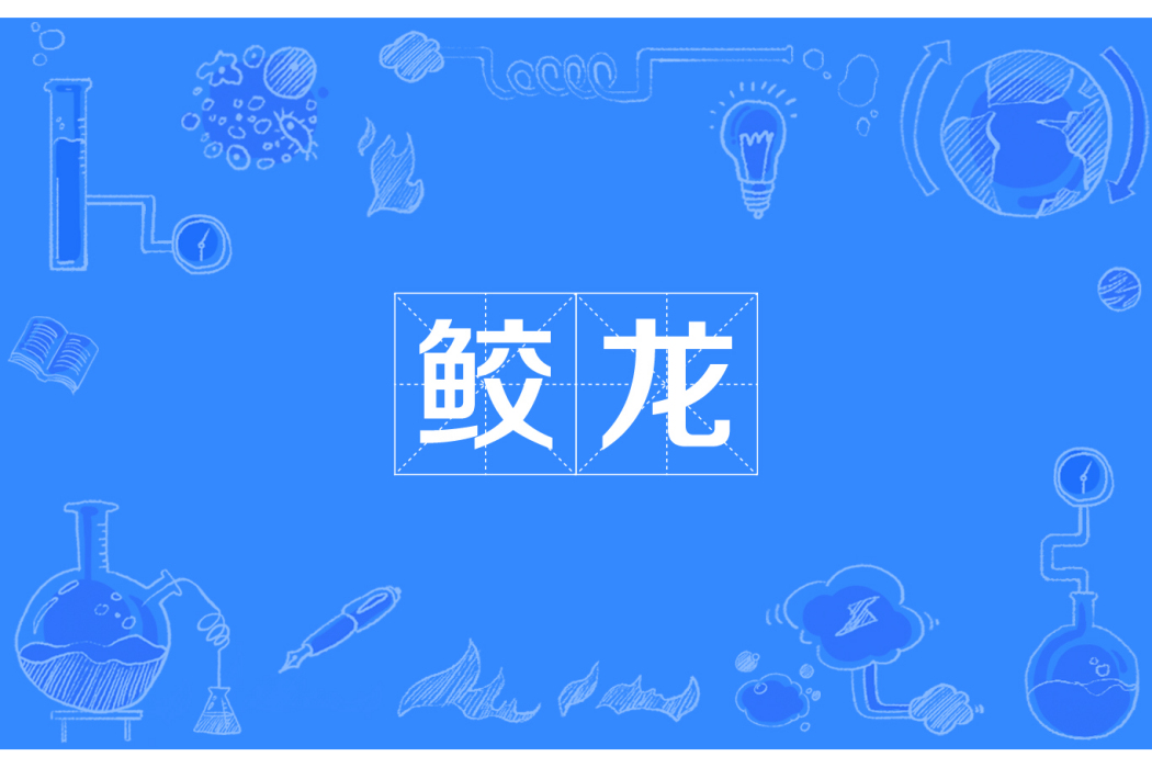 鮫龍 鮫龍