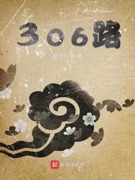 306路 306路