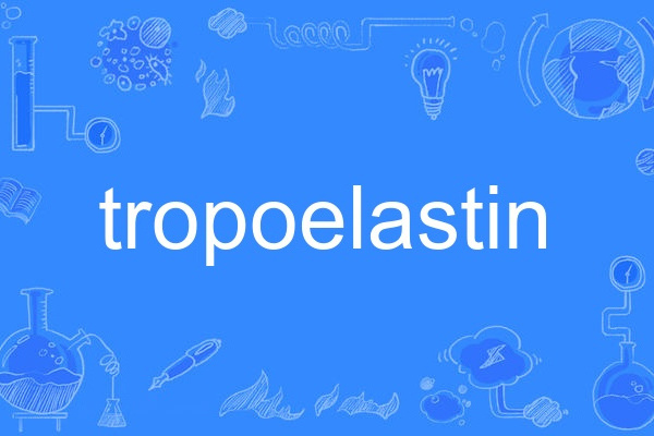 tropoelastin tropoelastin