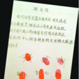 國青兵變 國青兵變