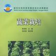 蔬菜栽培 蔬菜栽培
