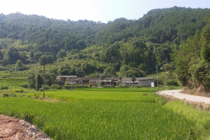 布地村 布地村