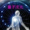 量子次元 量子次元